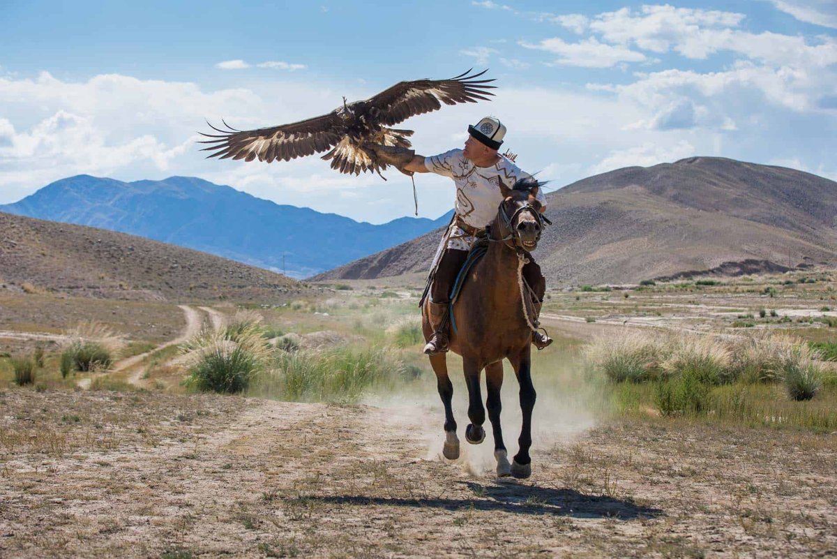 Соколиная охота Кыргызстан