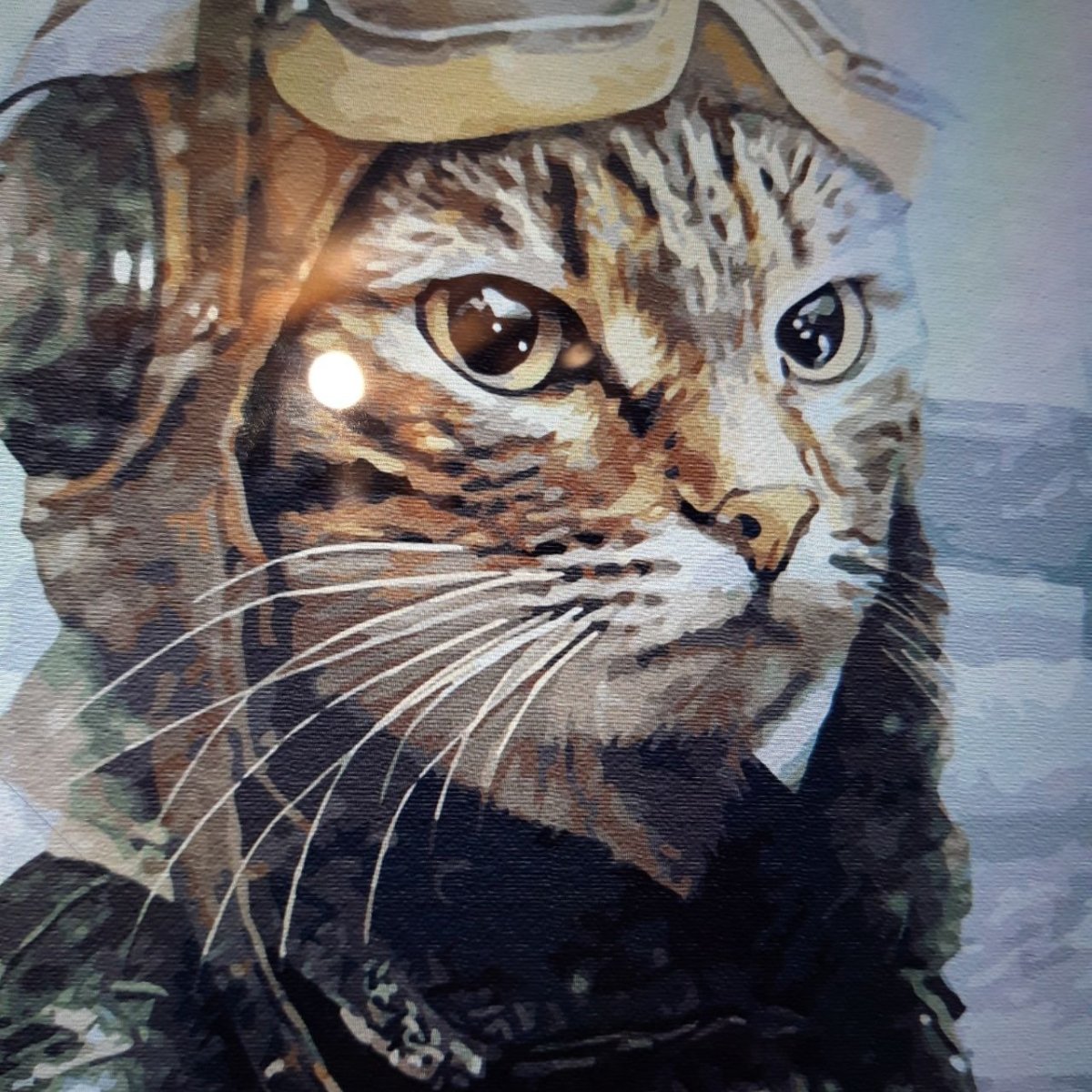 Милый котик в военной форме