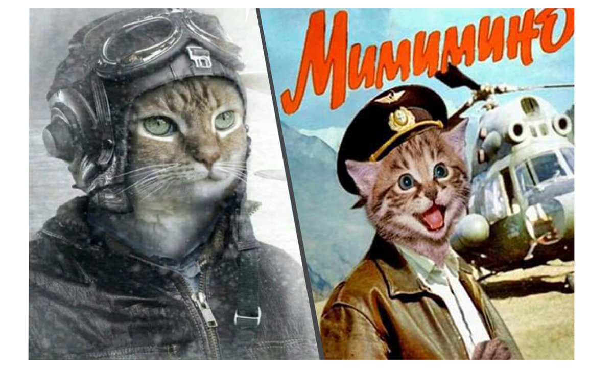 Кот Авиатор