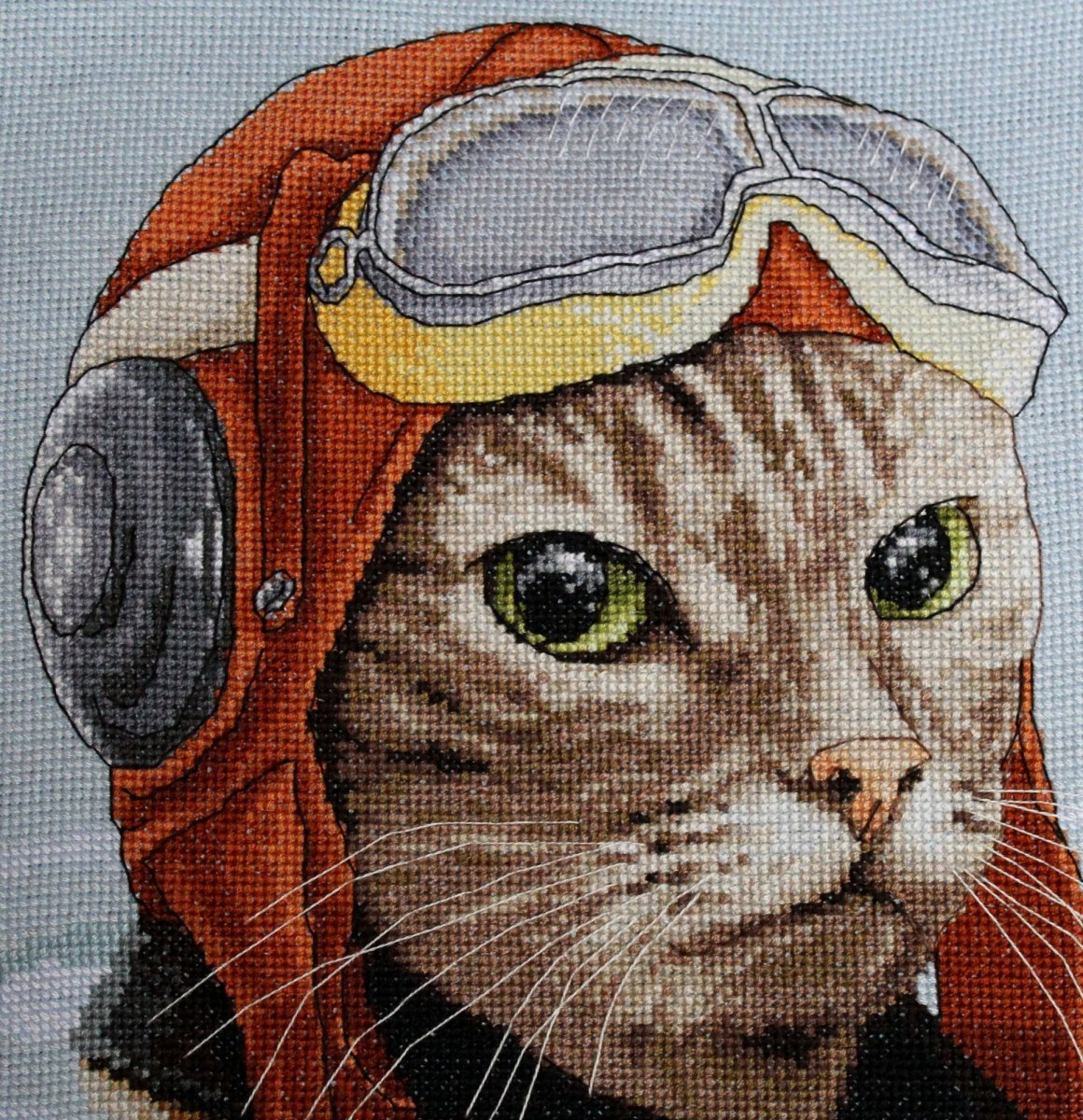 Кот в военной форме