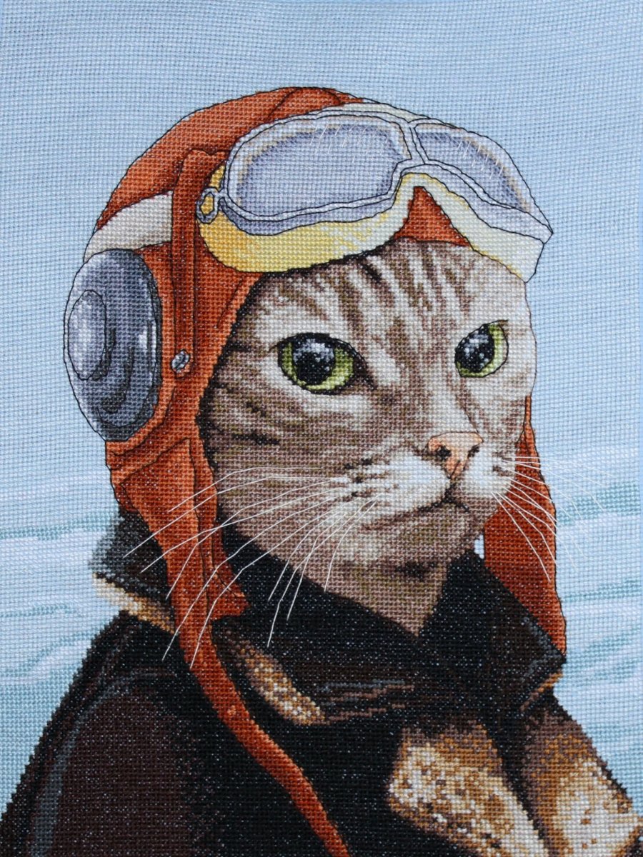 Кот в каске