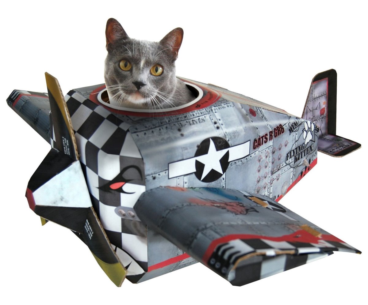 Собака в байкерском шлеме