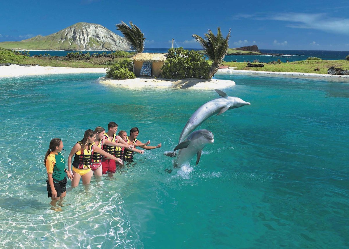 Животный мир Гавайских островов