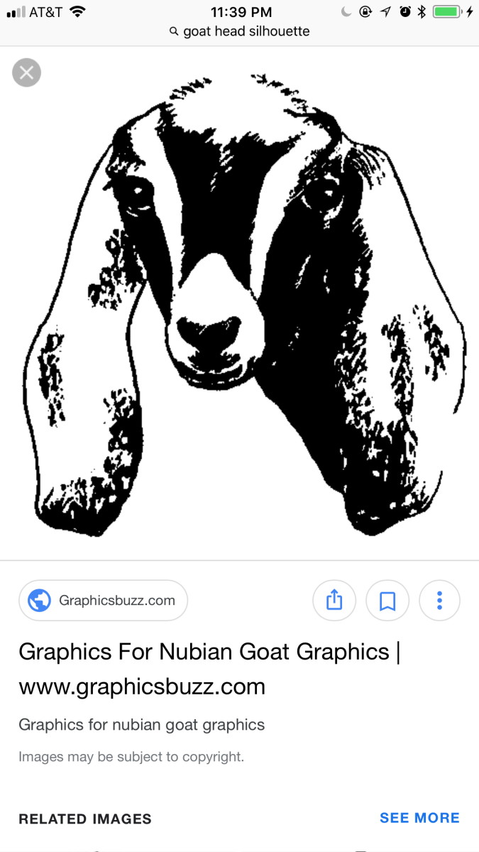 Англо-нубийская коза