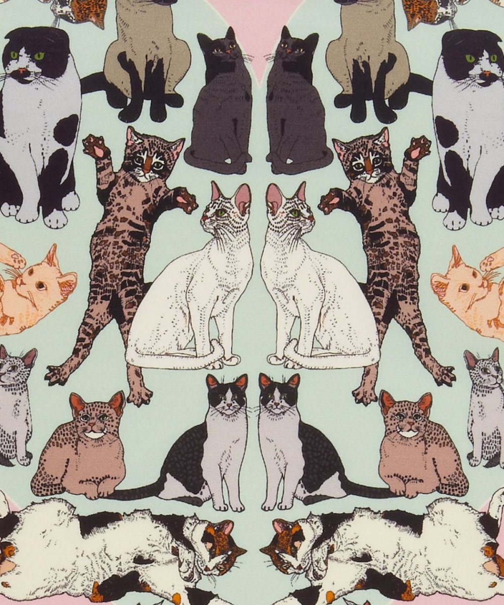 Сфинкс в одежде