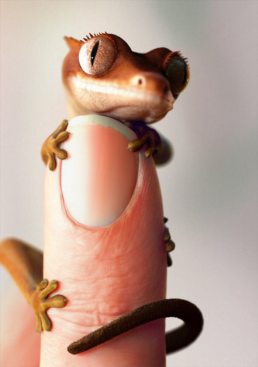 Геккон эублефар маленький