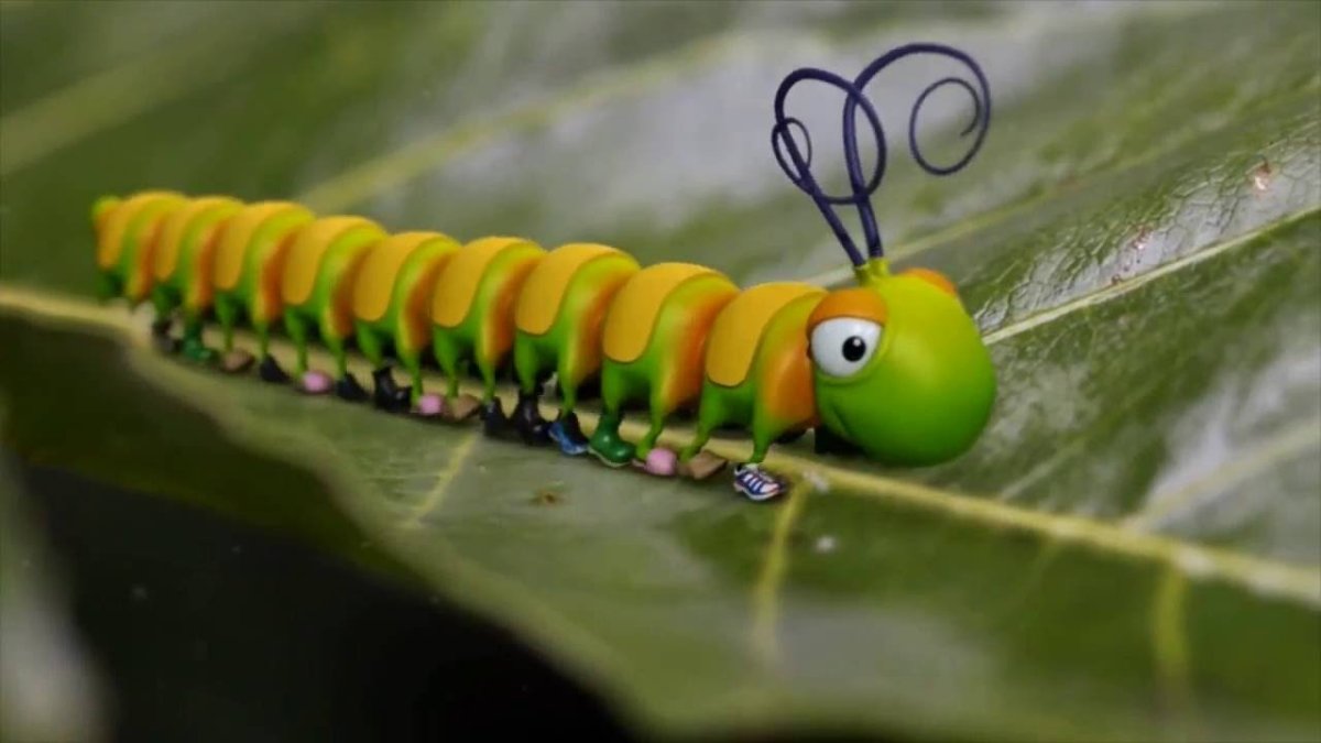 Самшитовая огневка гусеница