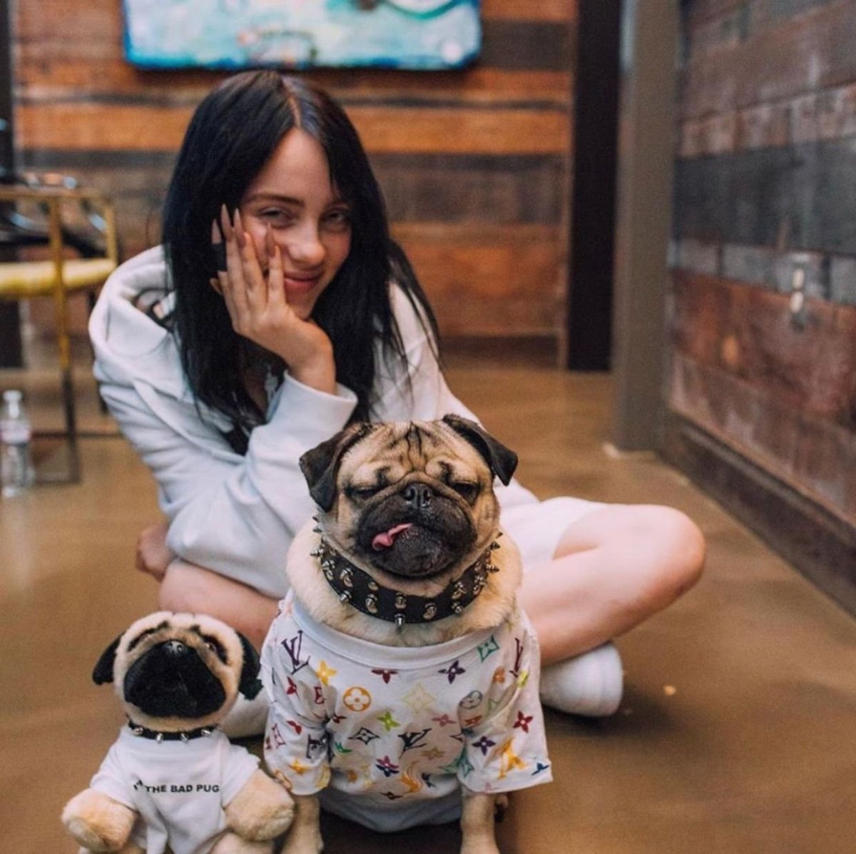 Милые Шпицы в костюмах