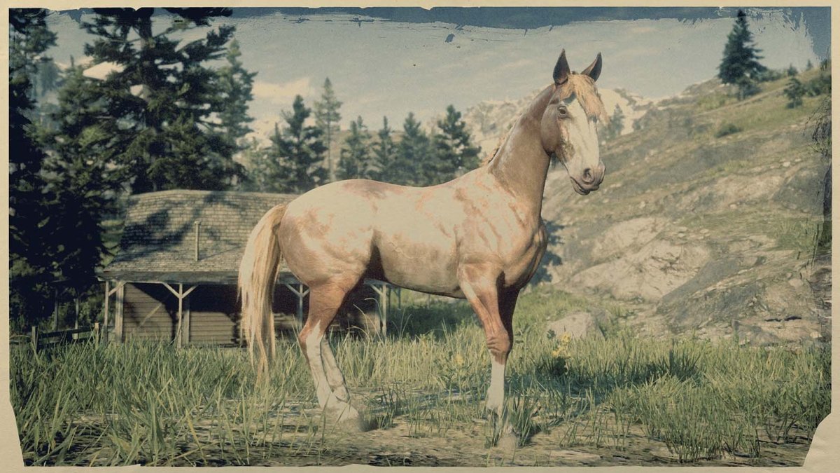 Лошадь в полный рост