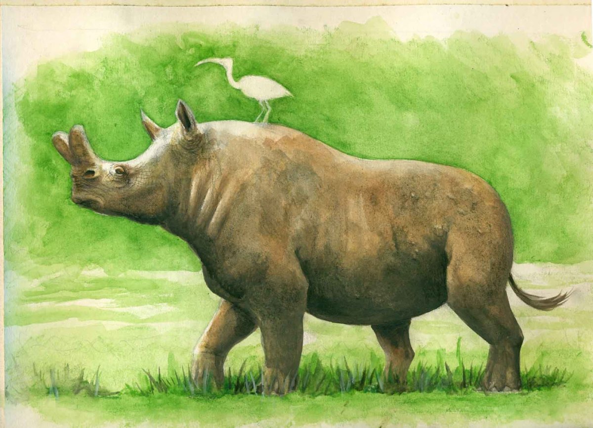 Роберт Бейтман Барс