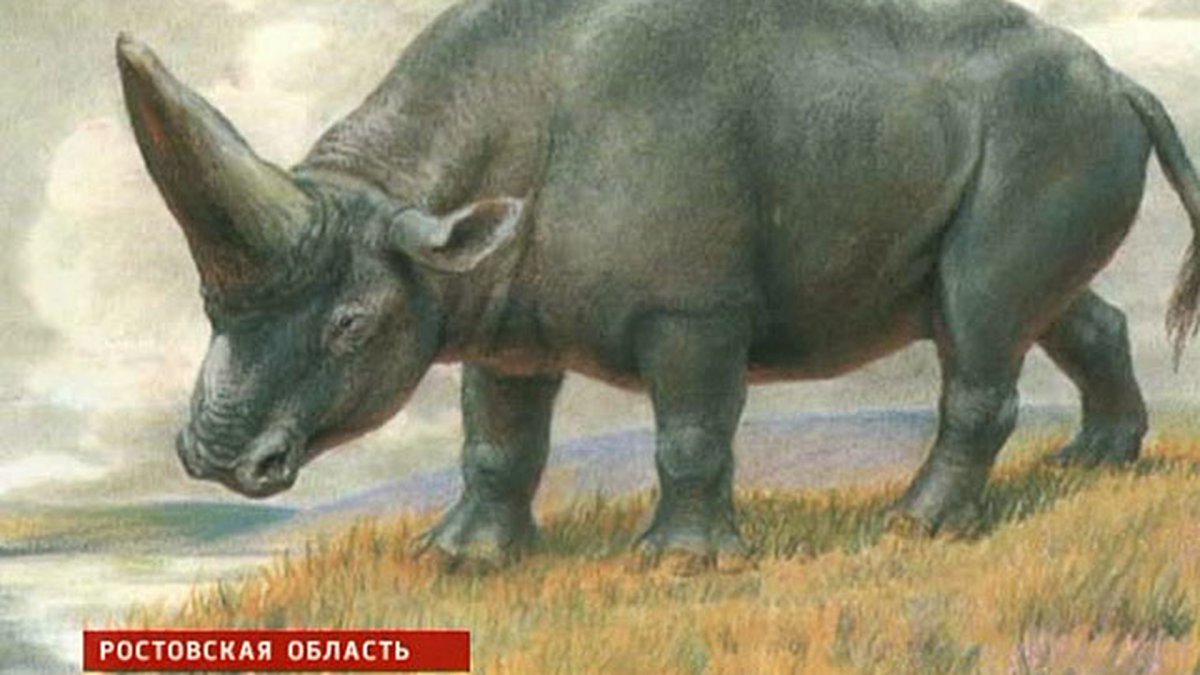 Сибирский Единорог (Elasmotherium)