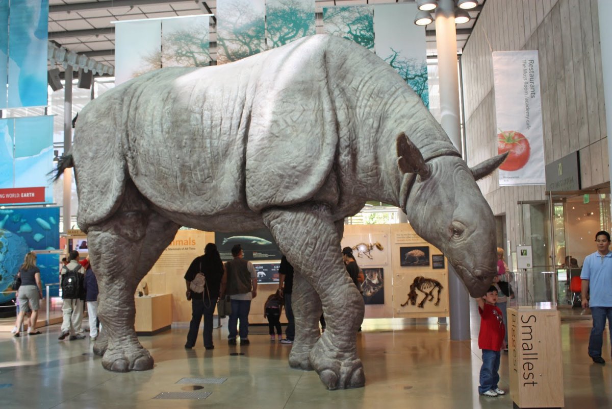 Вымершие доисторические млекопитающие