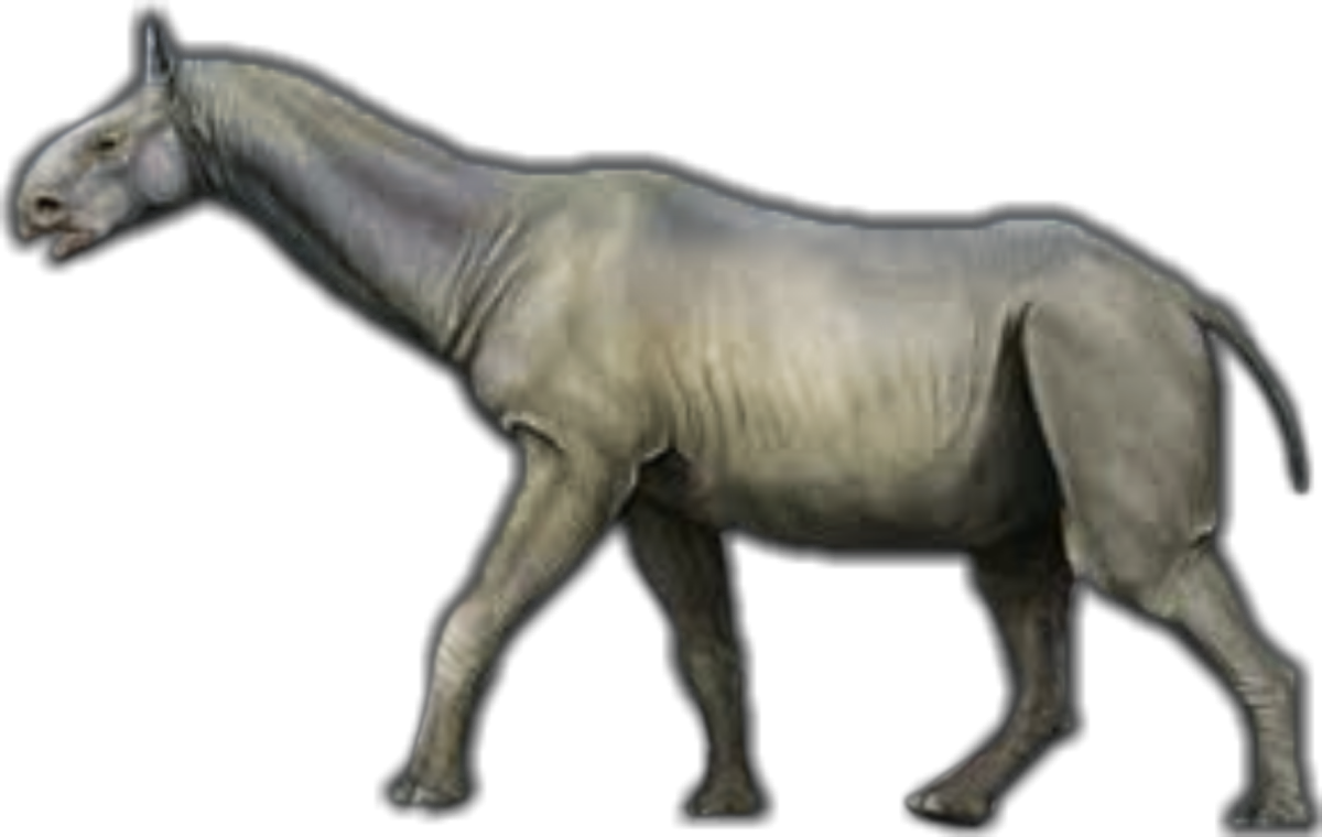 Сибирский Единорог фото и биография