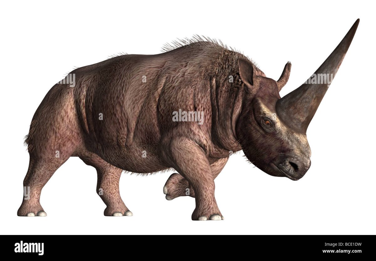 Эласмотерий, титанозавр