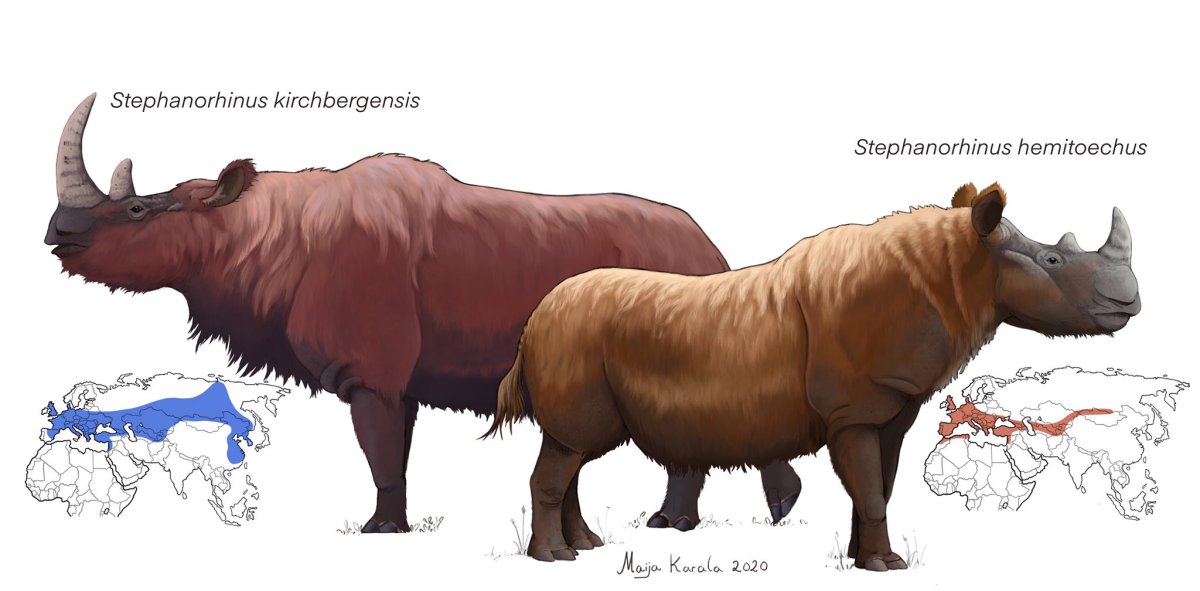 Доисторические существа