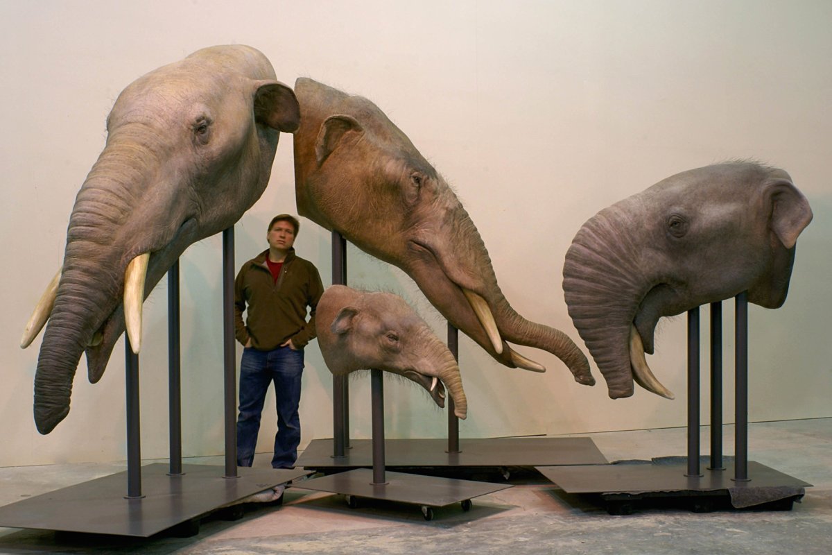 Гигантские ленивцы мегафауна