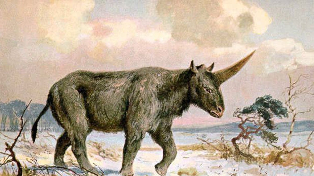 Уинтатерий Uintatherium