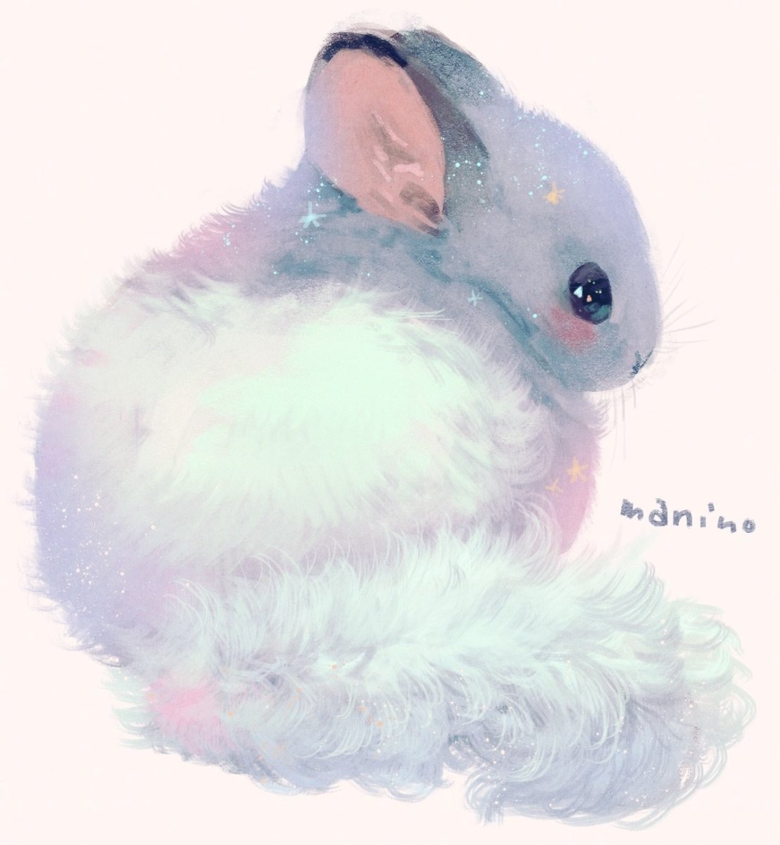 Шиншилла аниме