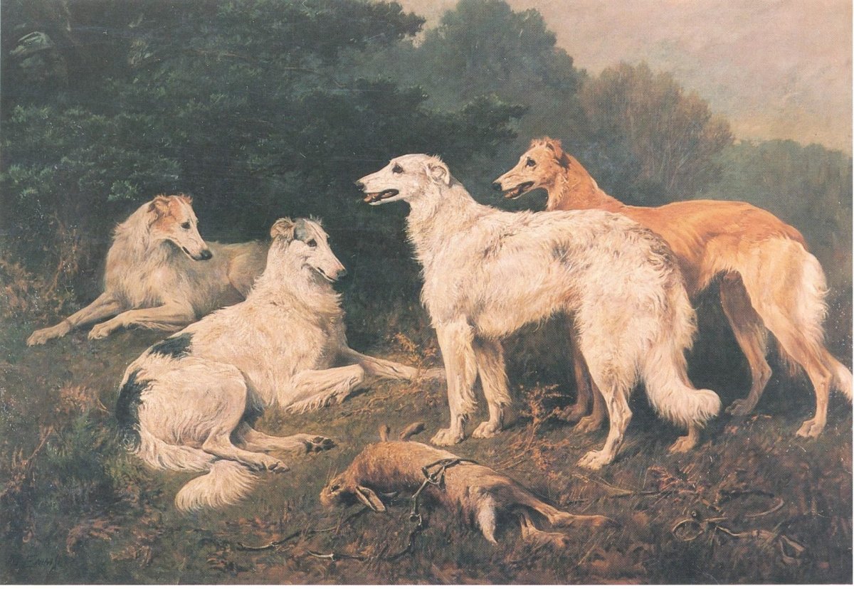 Охота на лису с пегими гончими