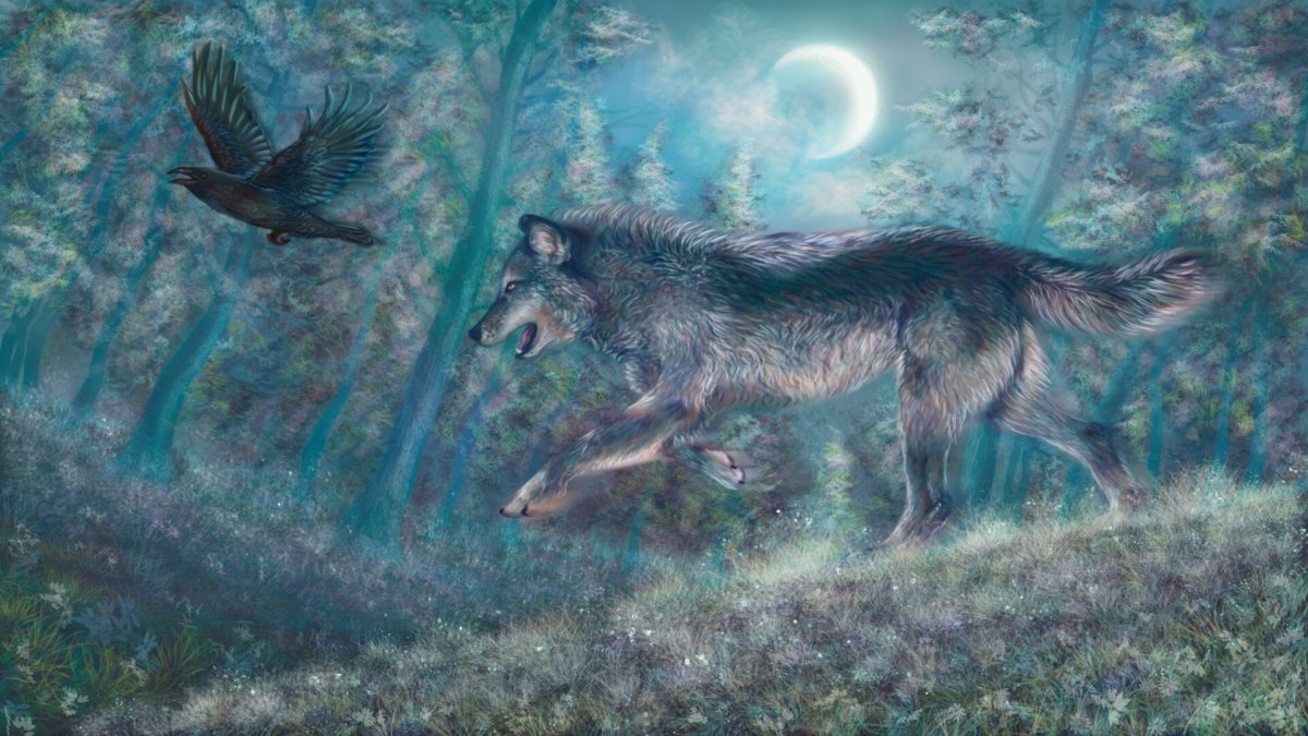 Инна Вальтер одинокие волки