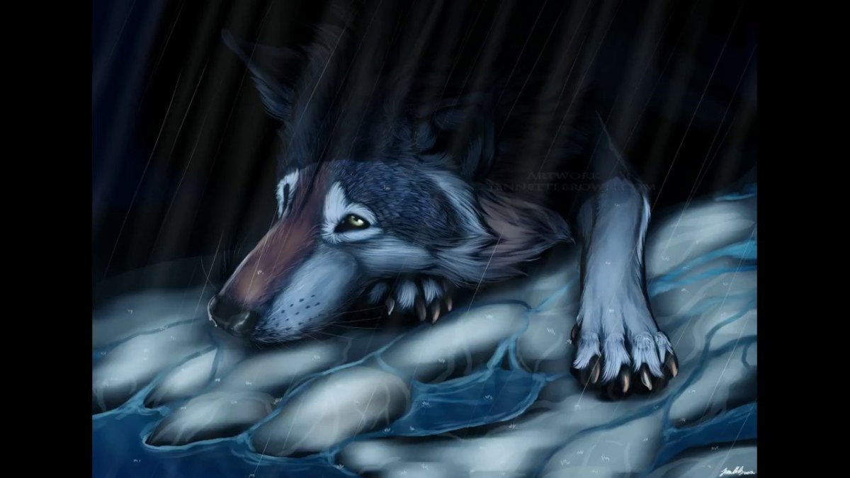 Необычное поведение животных