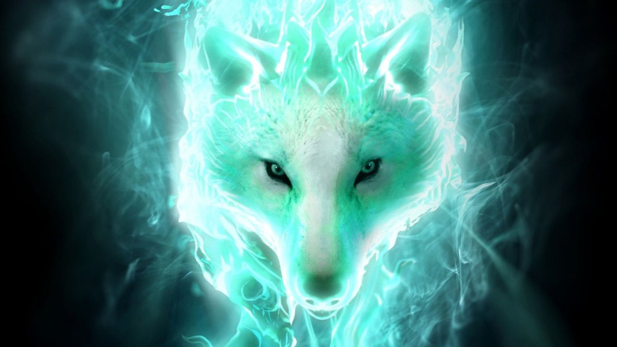 Волк и дракон арт