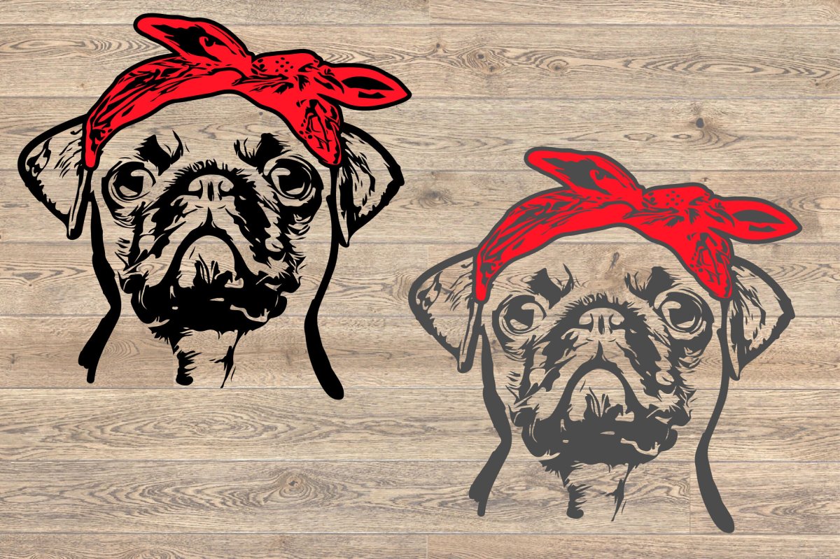 Метис МОПСА И чихуахуа