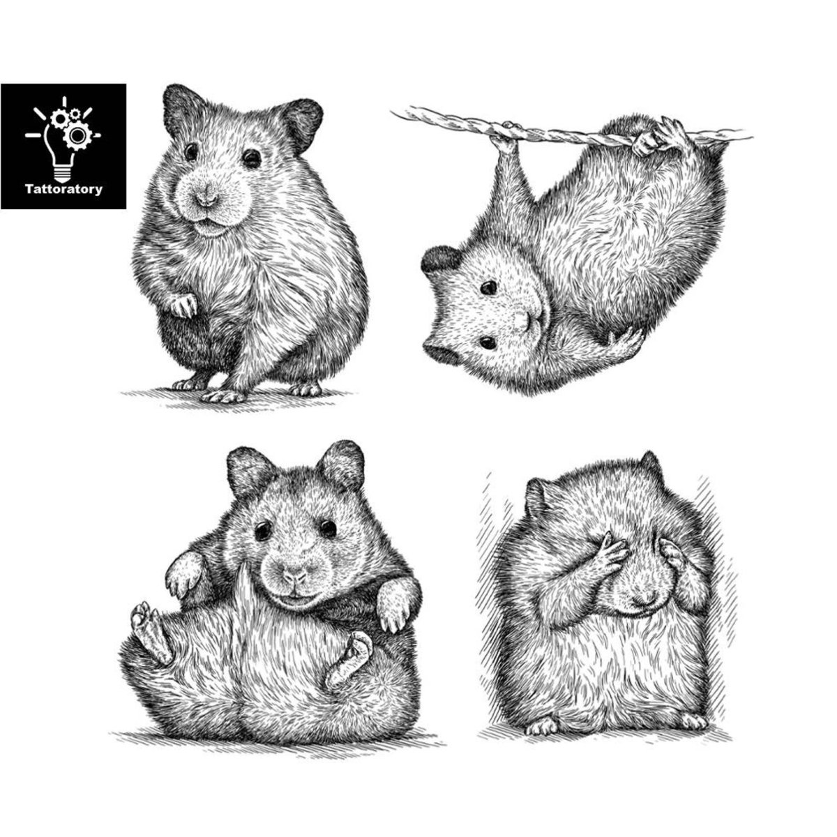 Милые крыски