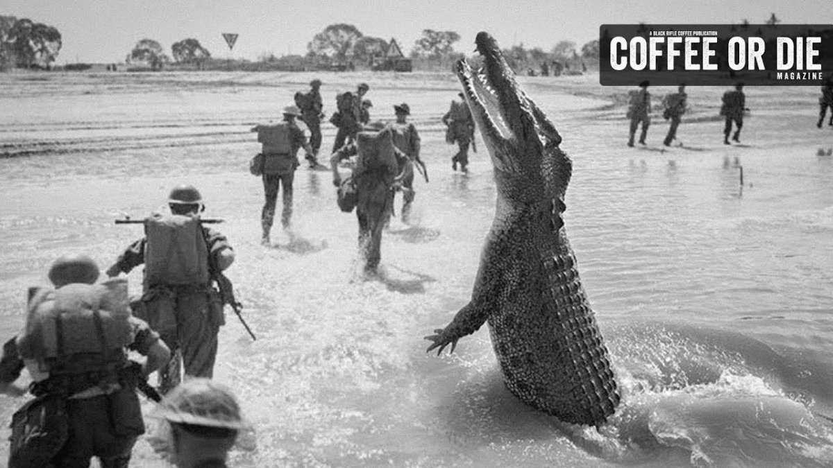 Битва за остров Рамри атака крокодилов