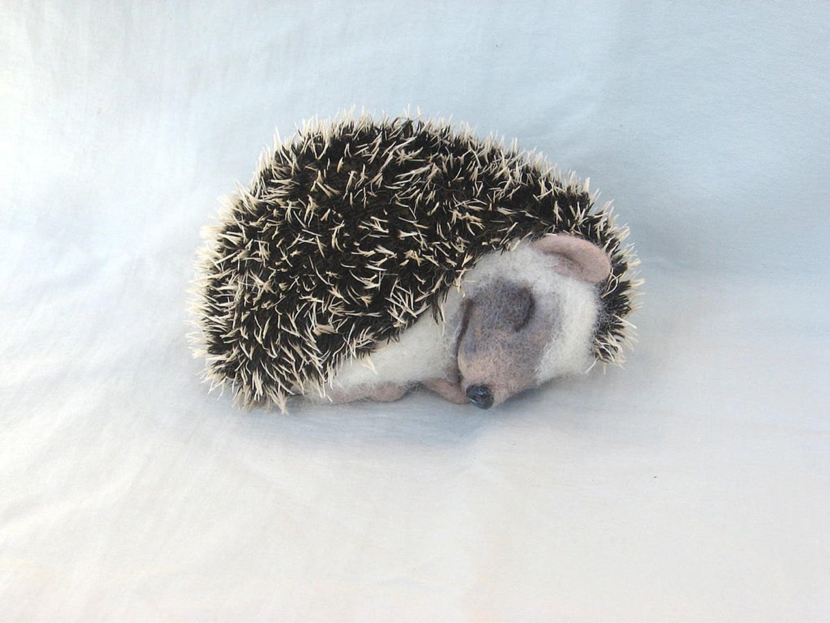 Спящий еж
