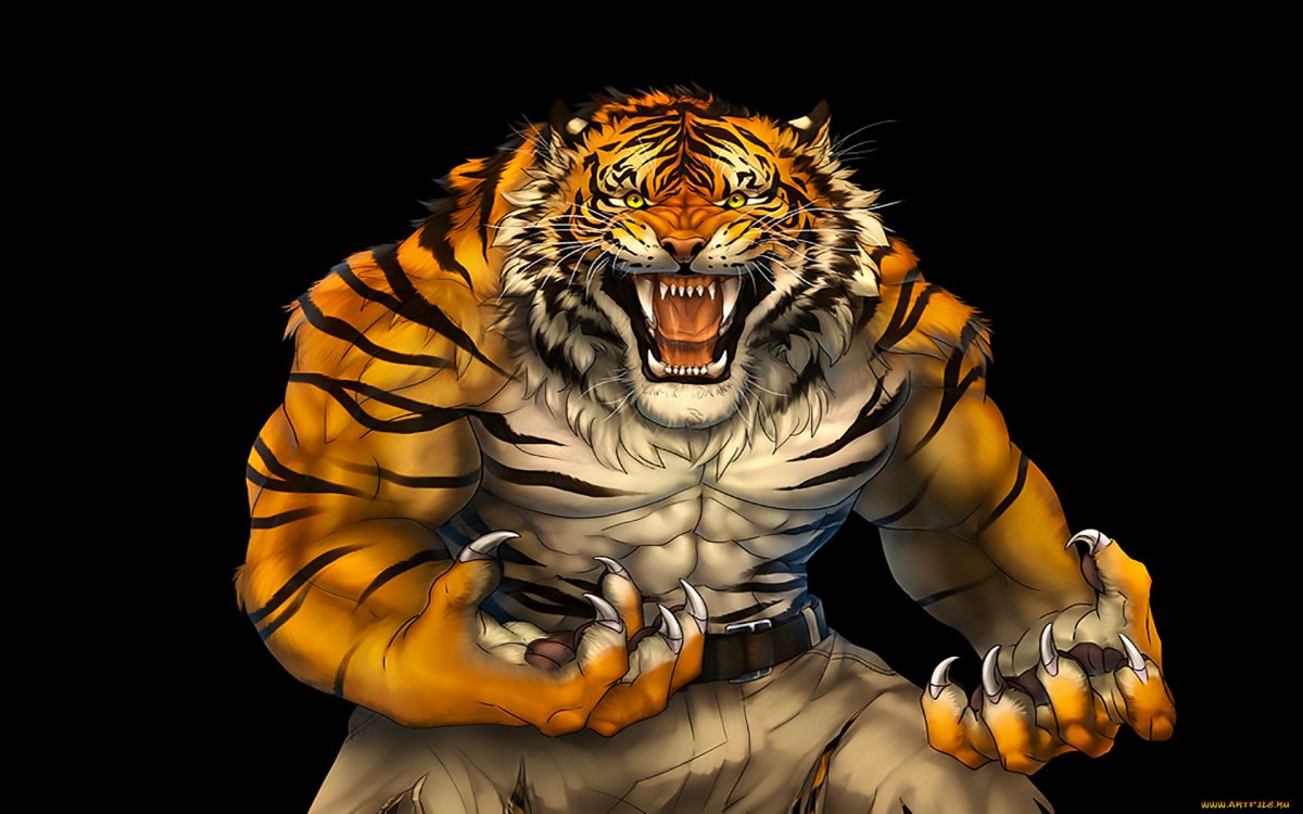 Тигр боец