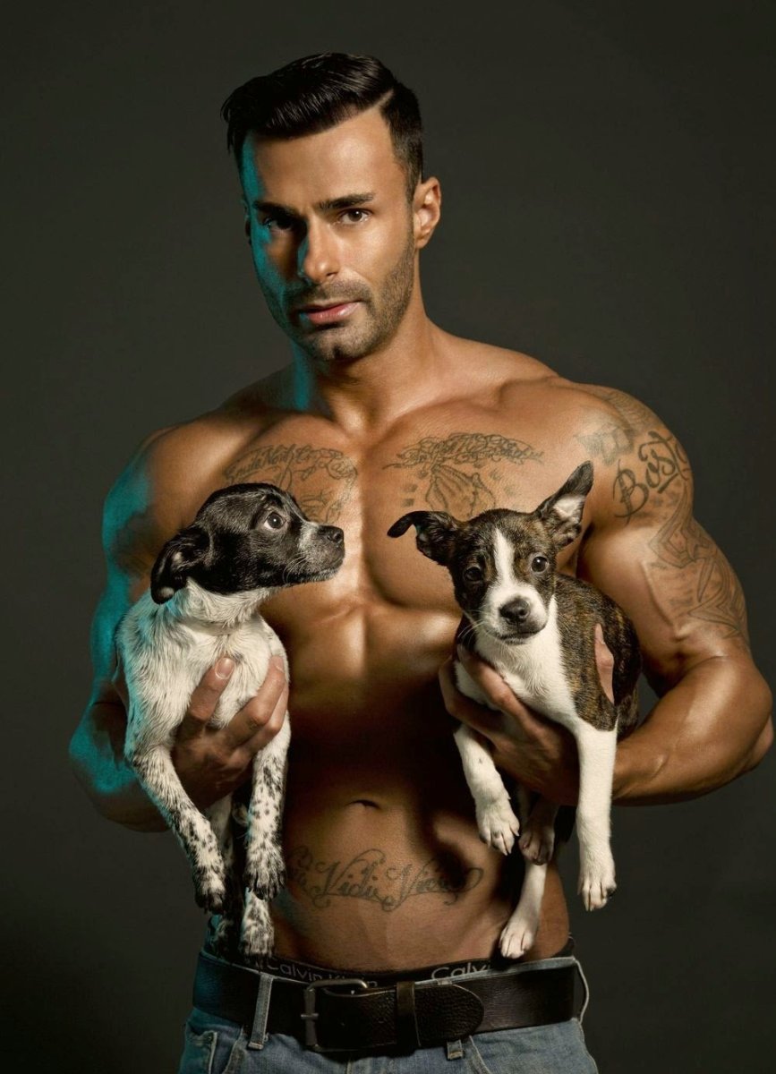 Звери качки