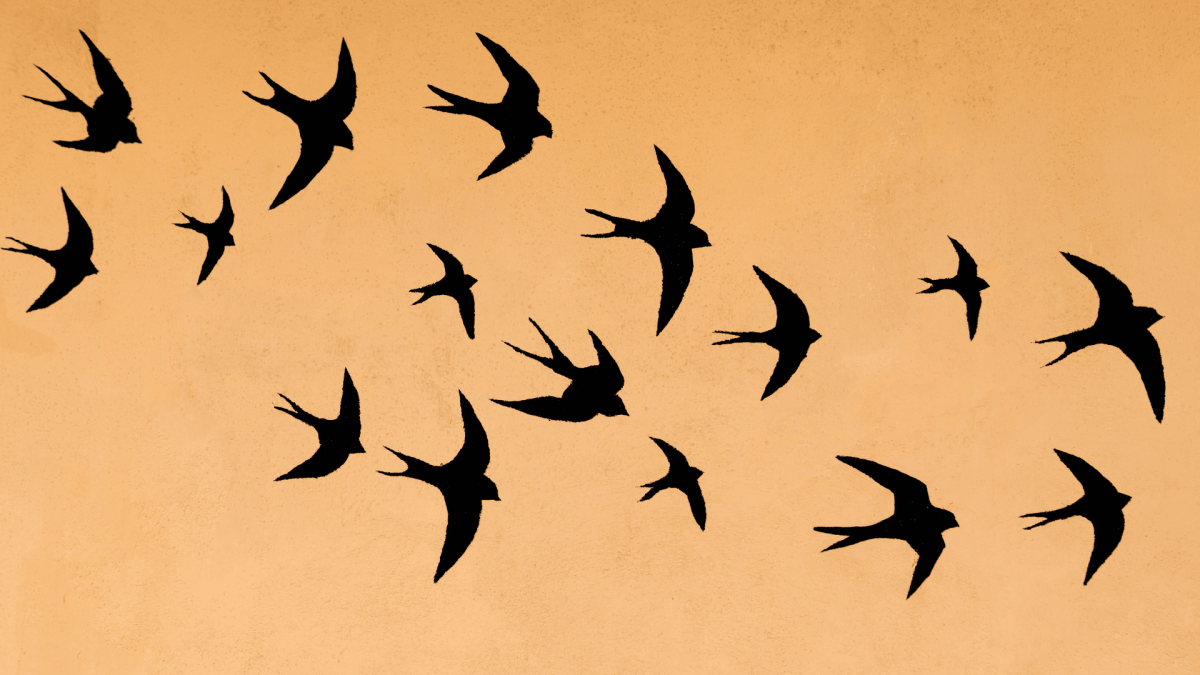 Стилизованные летящие птицы