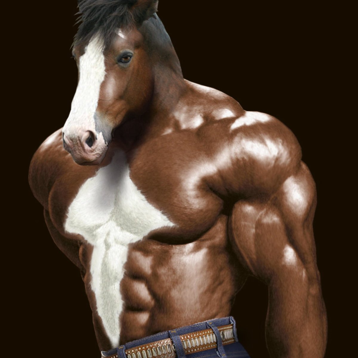 Мускулистая лошадь