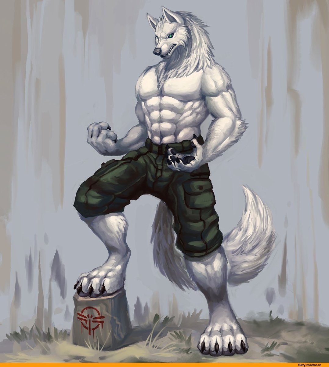 Волки качки