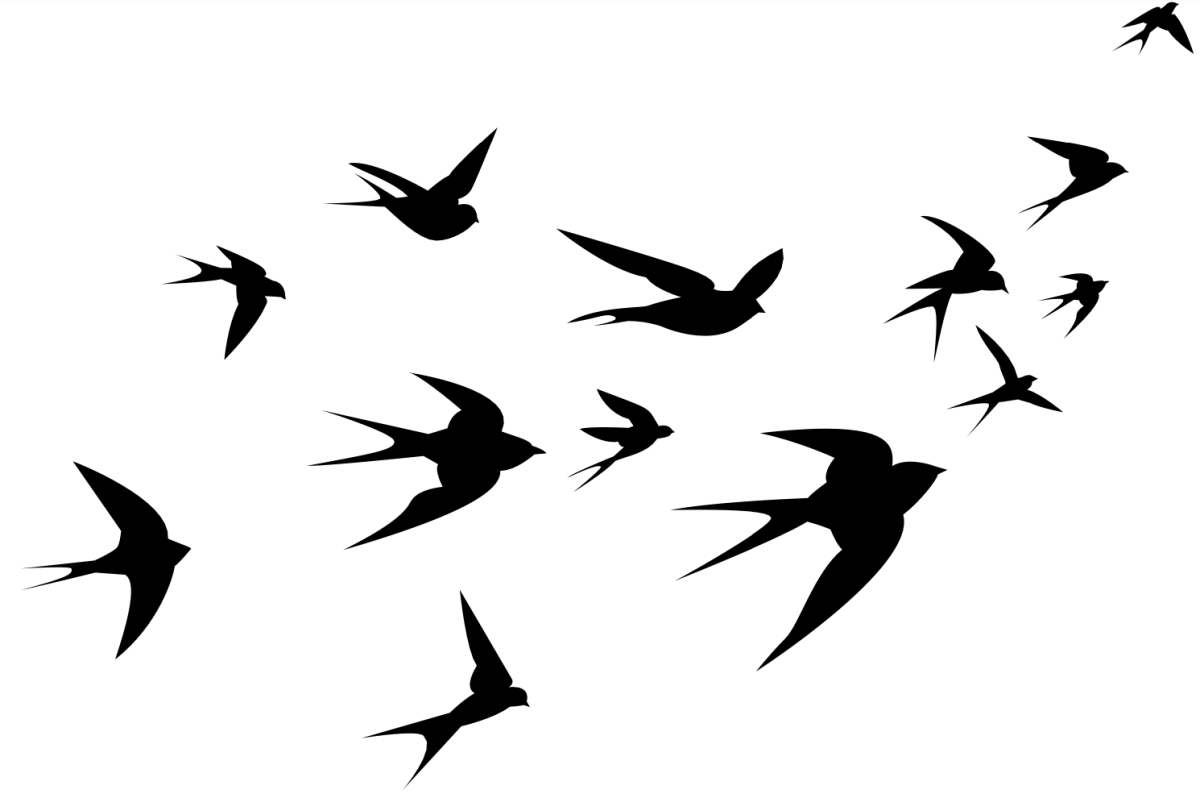 Силуэт летящей ласточки