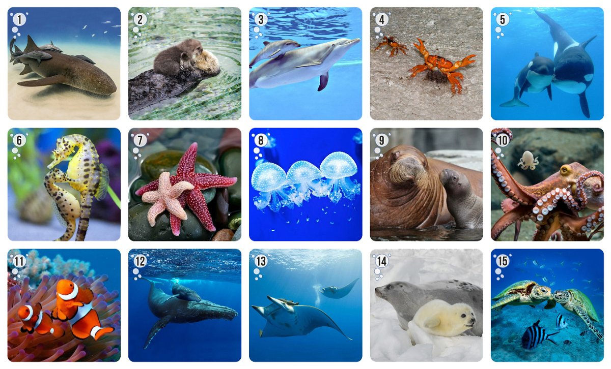 Наклейки для срисовки кавайные морские животные