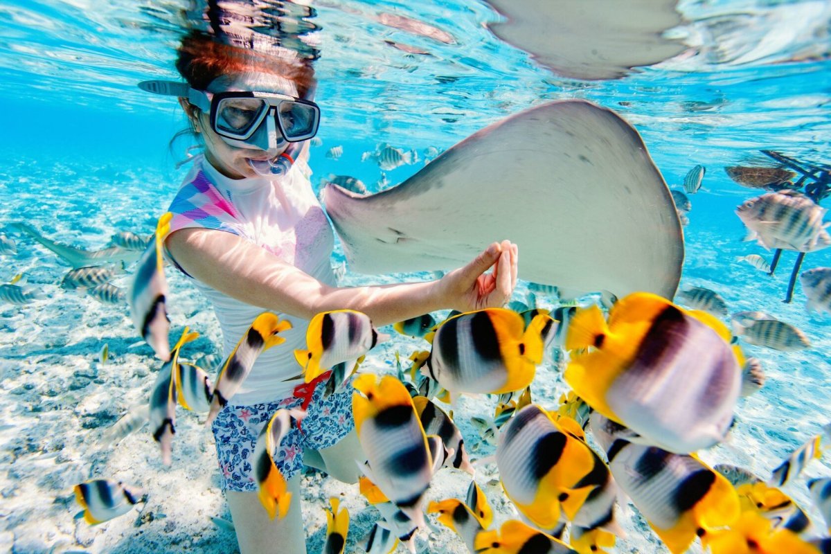 Желтоперка рыба