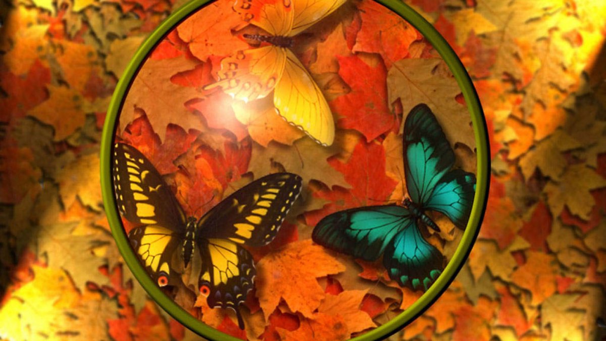 Бабочка осенний лист