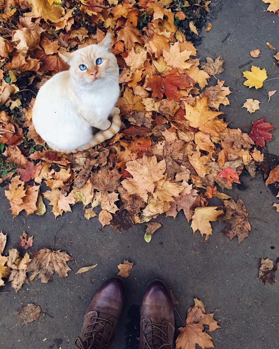 Акварельные открытки