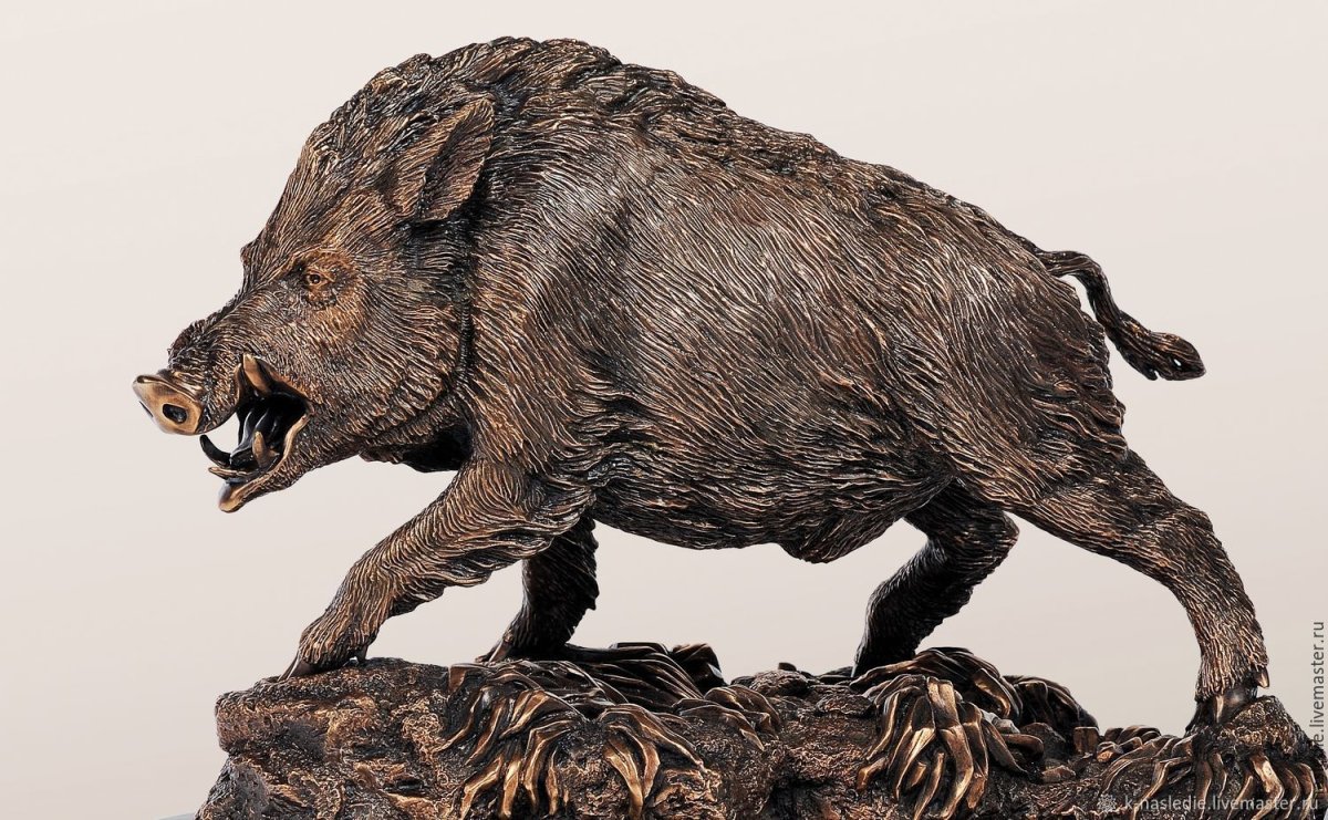 Кабаны Астраханского биосферного заповедника