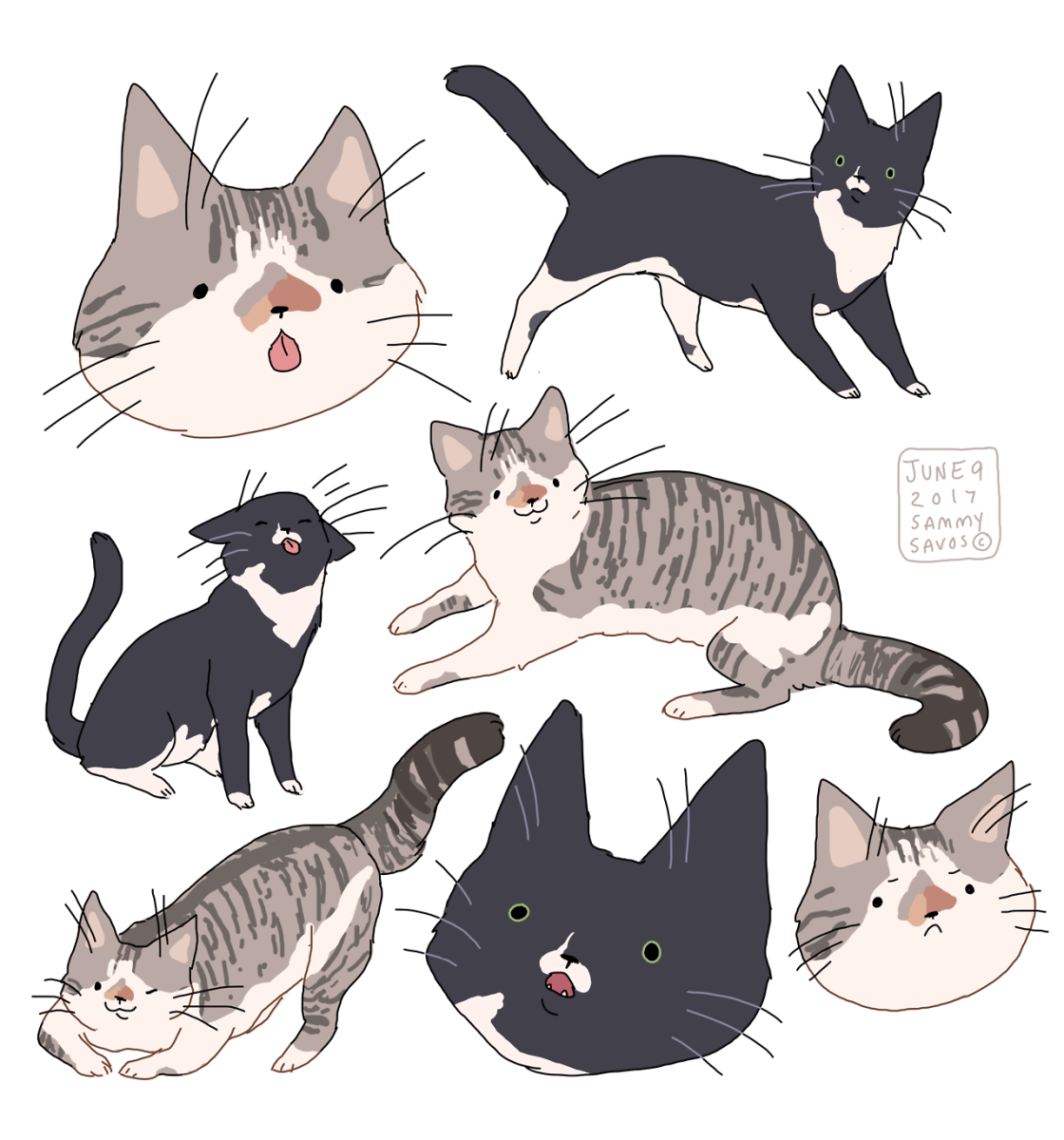 Кот рисунок Пинтерест