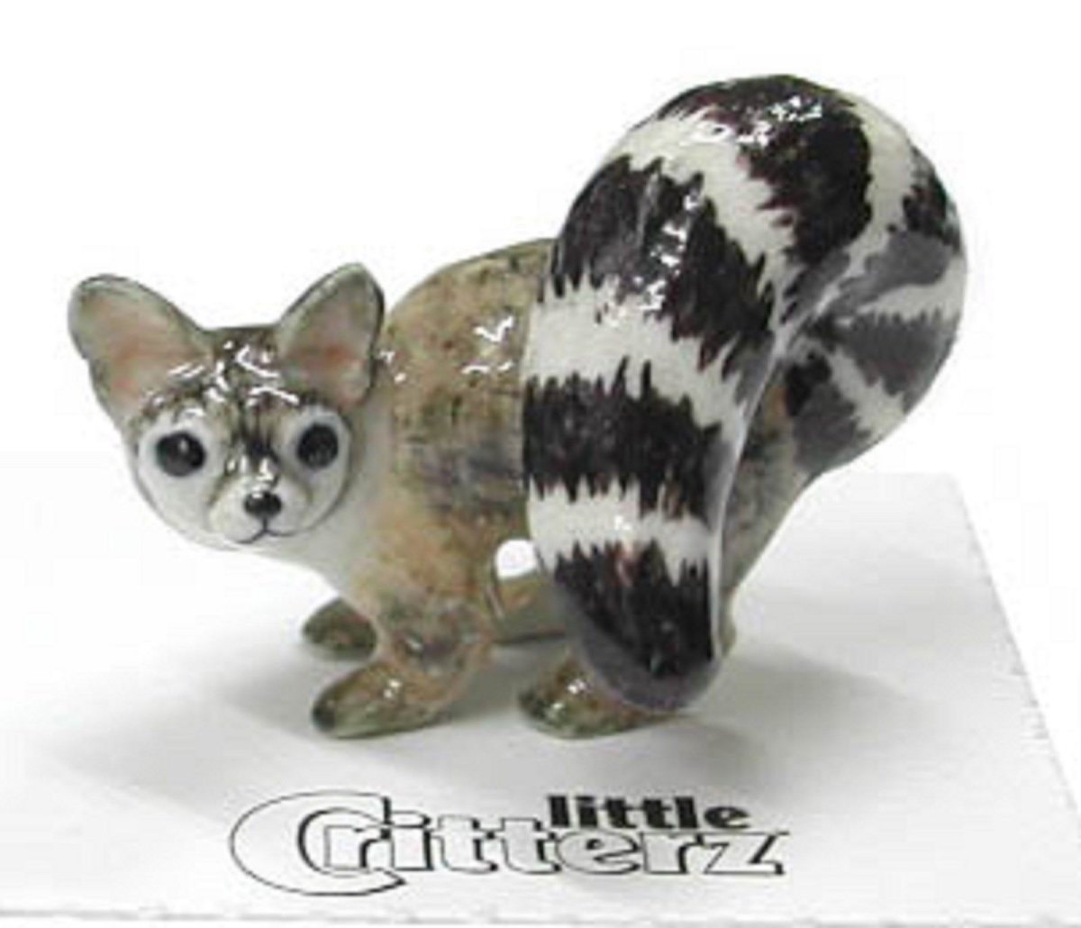 Американский рингтейл дымчатый