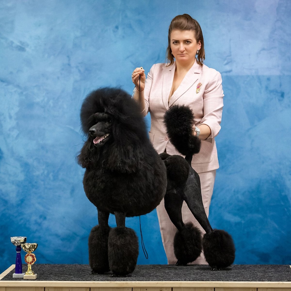 Вестминстерская выставка собак 2020 года.