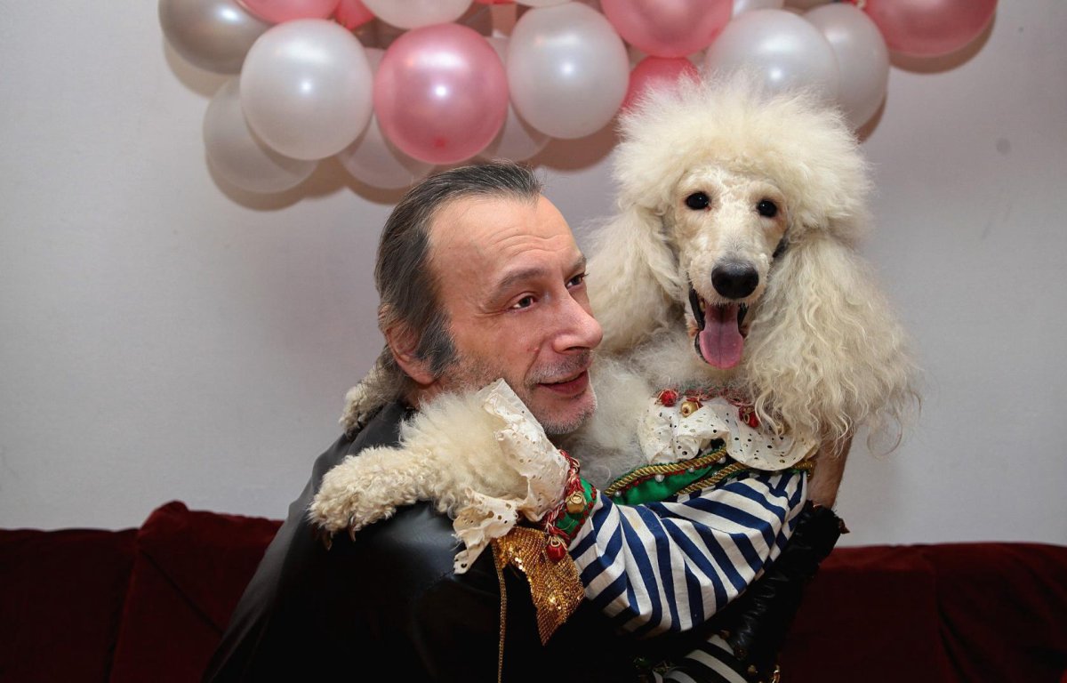 Королевский пудель зима