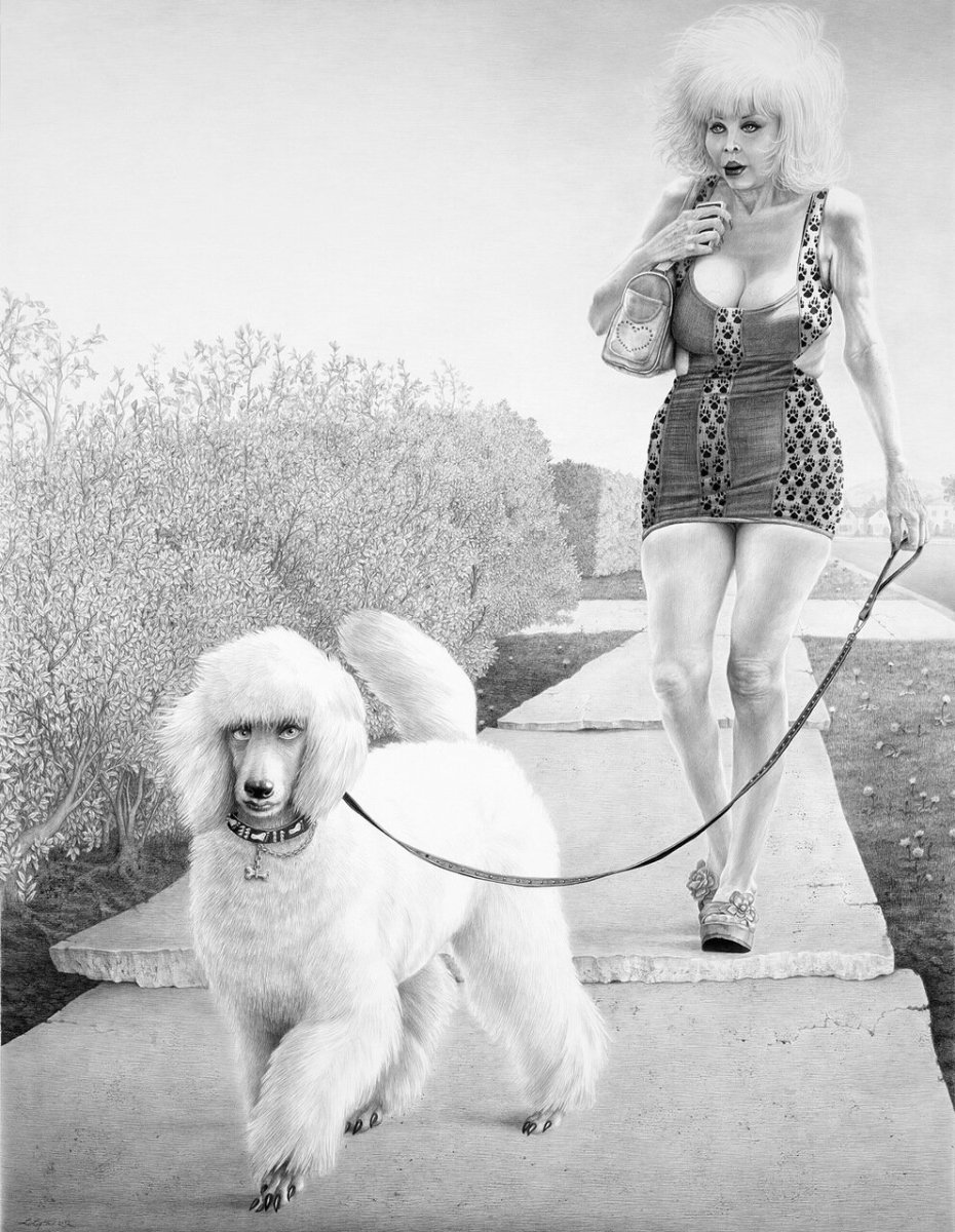 Королевский пудель черный