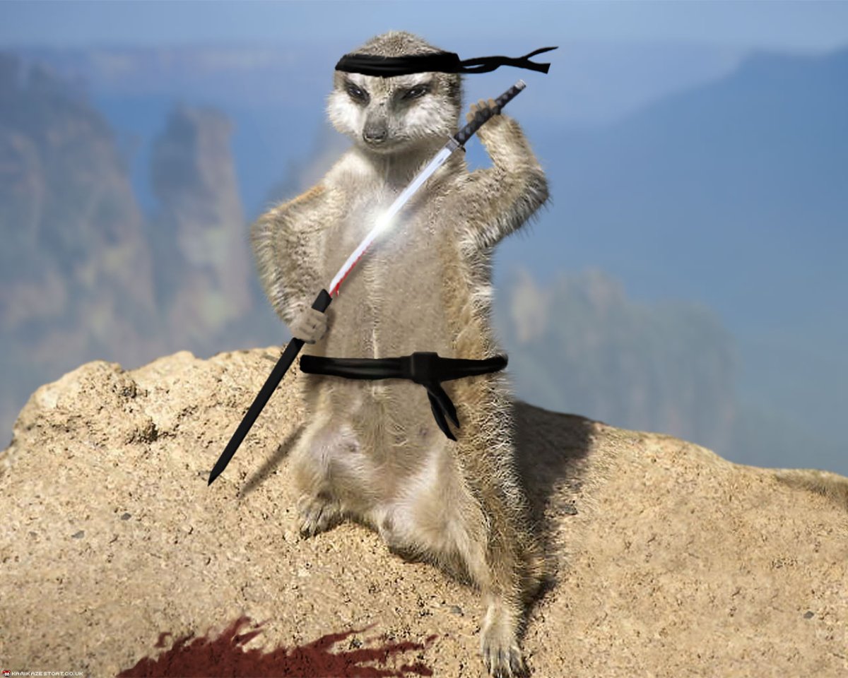 Боевой суслик