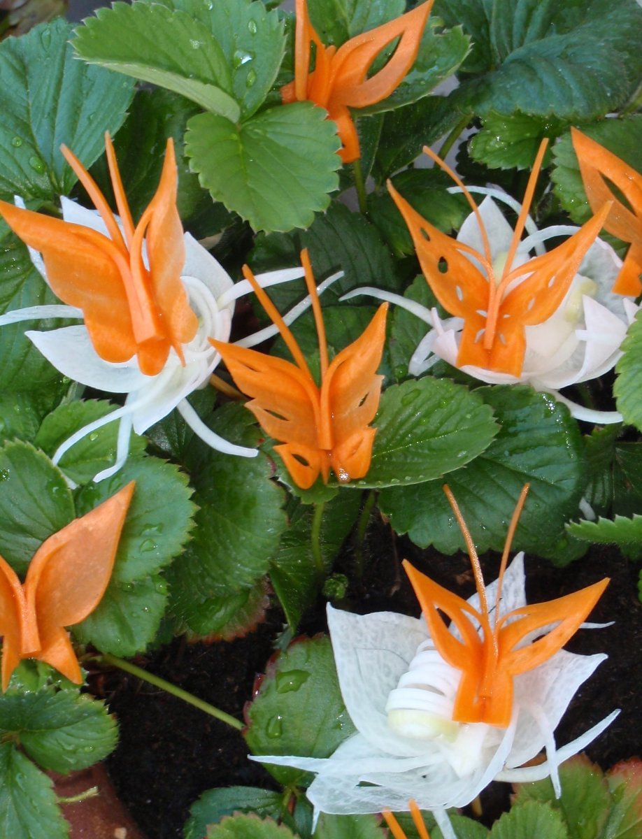 Детское блюдо из овощей