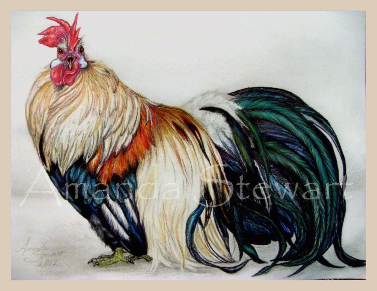 Петух в движении