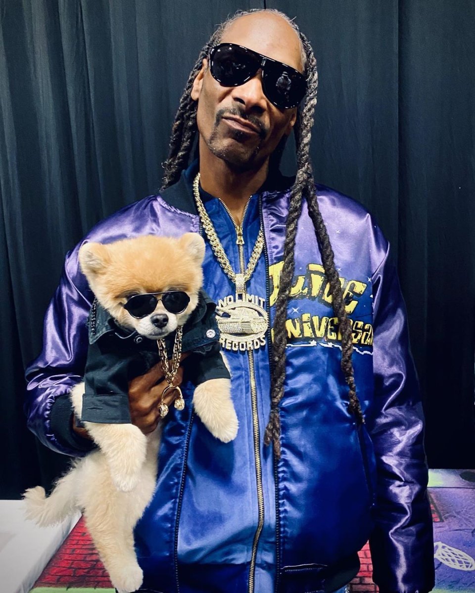 Померанский шпиц jiffpom белый